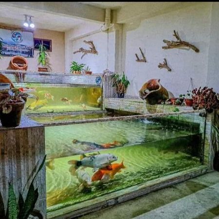 Recanto Villas Boas Убатуба Екстериор снимка